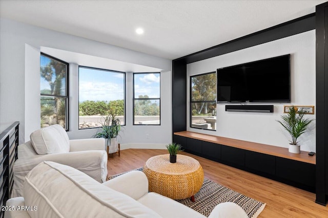 living room featuring light hardwood / wood-style flooring