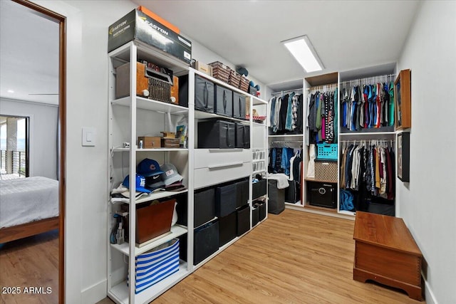 spacious closet with wood-type flooring