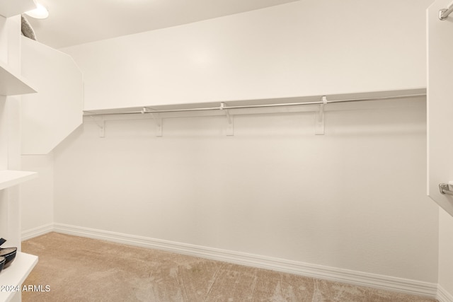 spacious closet featuring light carpet