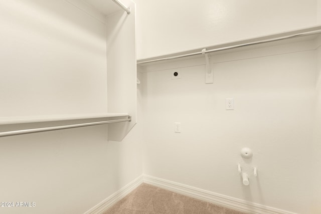 spacious closet featuring carpet