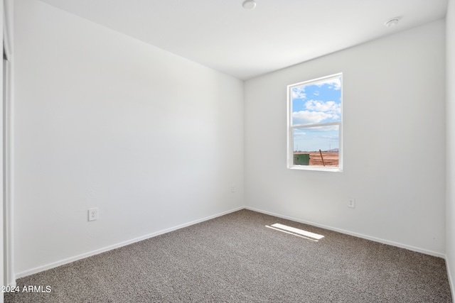 spare room featuring carpet flooring