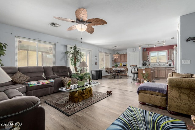 living room featuring light wood-style floors, visible vents, and a ceiling fan