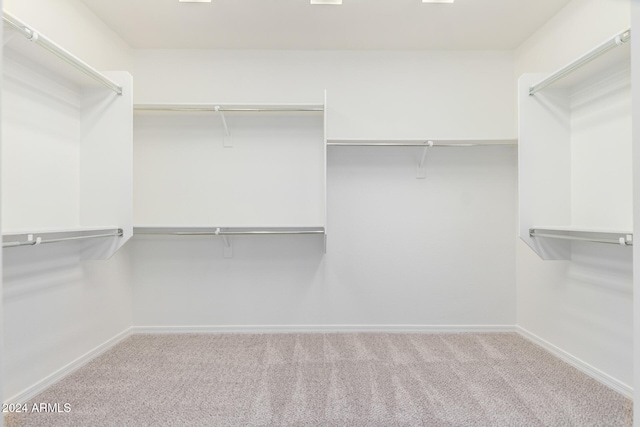 walk in closet featuring light carpet