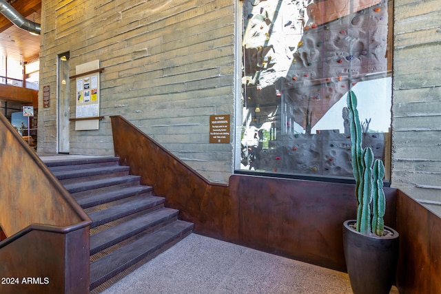 stairs featuring wooden walls and carpet floors