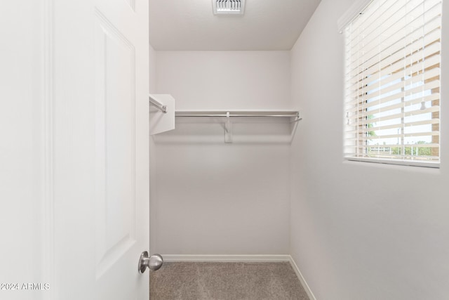 walk in closet featuring carpet floors