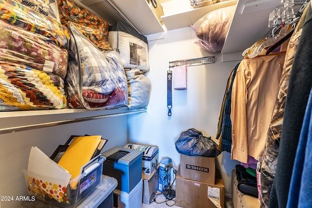 view of spacious closet