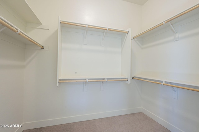 spacious closet featuring carpet