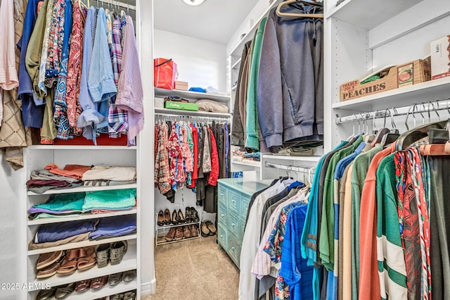12932 W Cassia Trl, Peoria, AZ 85383 - spacious closet with carpet flooring