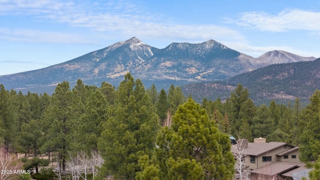 property view of mountains featuring a view of trees