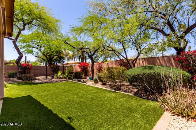 22232 N 48th St, Phoenix, AZ 85054 - view of yard with a fenced backyard and a patio area