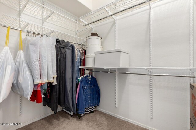 22232 N 48th St, Phoenix, AZ 85054 - walk in closet featuring carpet