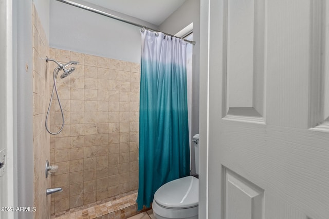 bathroom with a shower with curtain and toilet