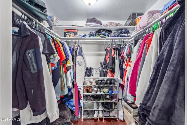 walk in closet featuring dark hardwood / wood-style flooring