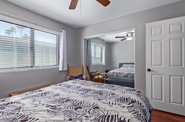 bedroom featuring ceiling fan, a closet, and dark wood-type flooring