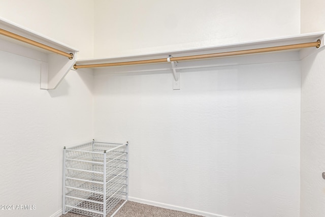 spacious closet featuring carpet flooring