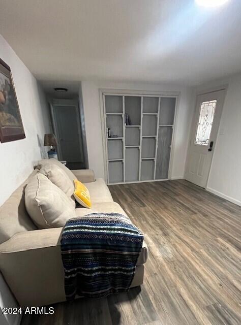 living room with wood-type flooring