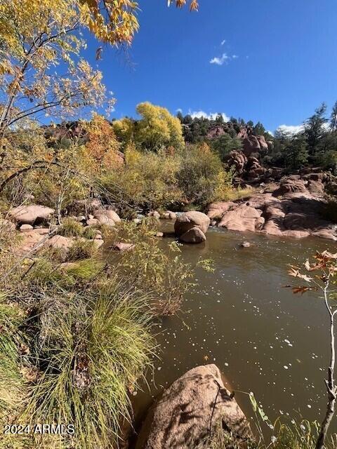 view of local wilderness featuring a water view