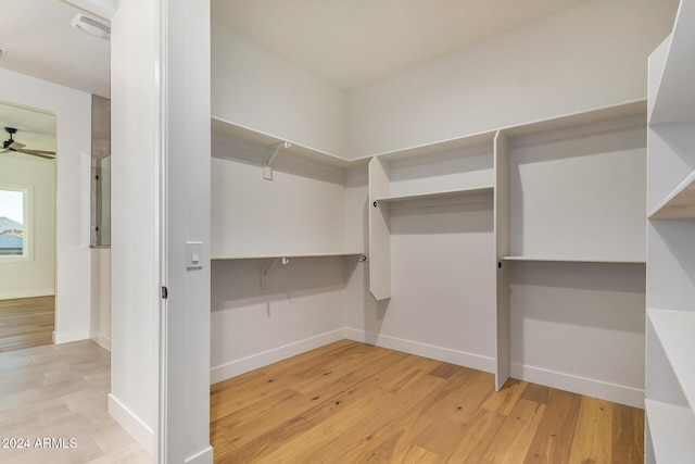 spacious closet featuring ceiling fan and light hardwood / wood-style floors