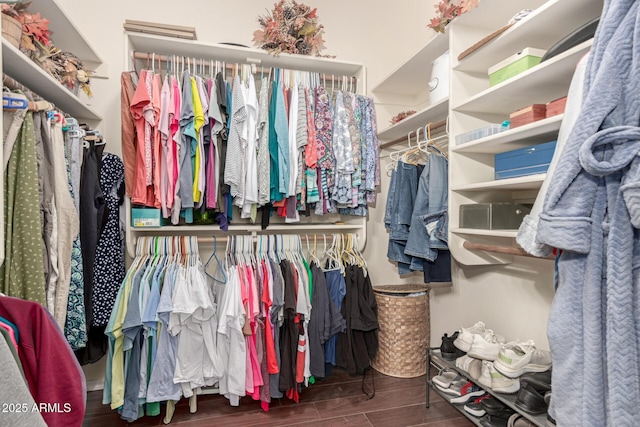 walk in closet featuring wood finished floors