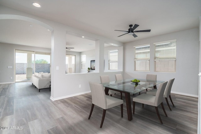 dining space with ceiling fan and hardwood / wood-style flooring