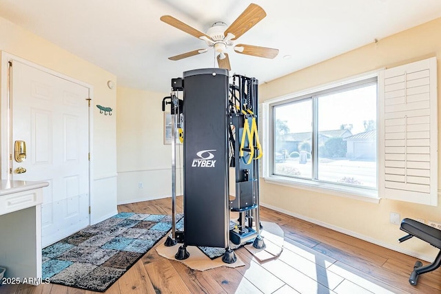 exercise room featuring ceiling fan and light hardwood / wood-style floors