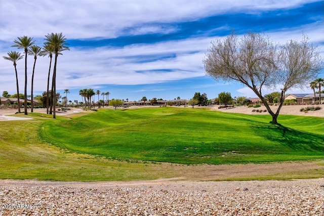 surrounding community featuring a lawn