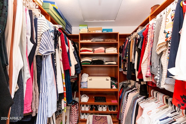 view of walk in closet