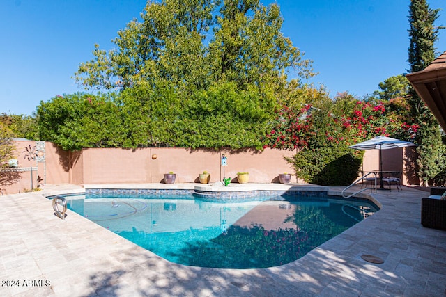 view of pool with a patio