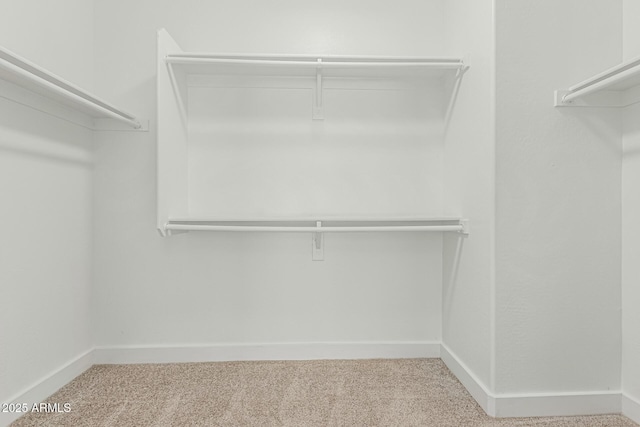 9224 W Raymond St, Tolleson, AZ 85353 - spacious closet with carpet floors