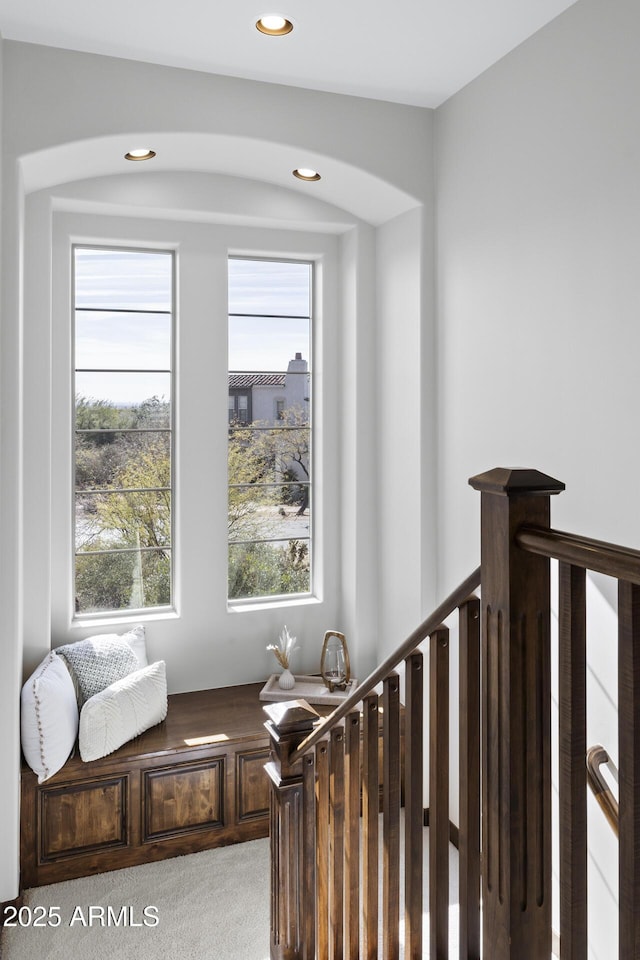 sitting room with light carpet and a wealth of natural light