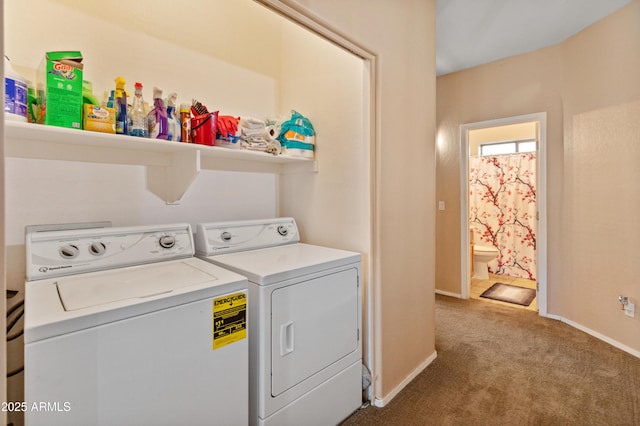 washroom featuring baseboards, carpet floors, independent washer and dryer, and laundry area