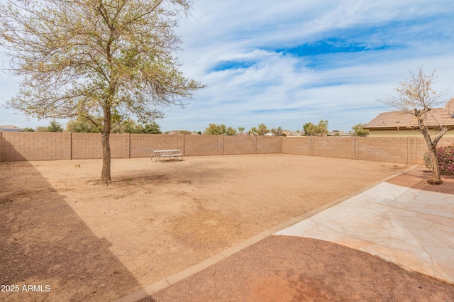 view of yard with a patio and a fenced backyard