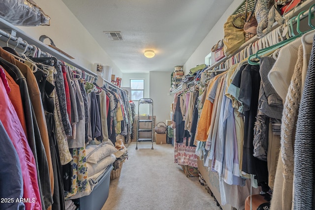 walk in closet with carpet flooring