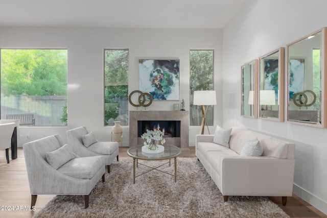 living room featuring a healthy amount of sunlight and light hardwood / wood-style flooring