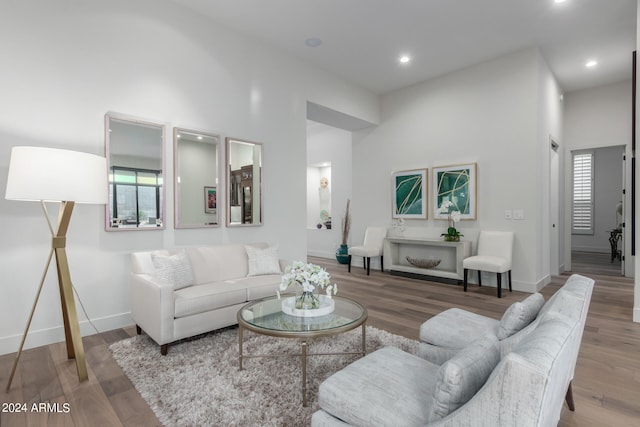 living room featuring a high ceiling and hardwood / wood-style flooring