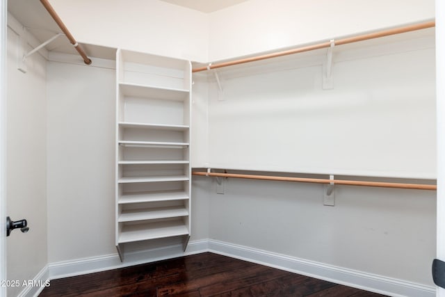12120 E Cortez Dr, Scottsdale, AZ 85259 - spacious closet featuring dark wood-style flooring