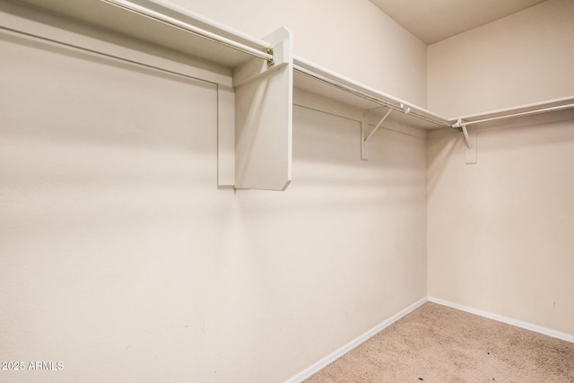 22123 E Via Del Palo, Queen Creek, AZ 85142 - spacious closet featuring carpet floors