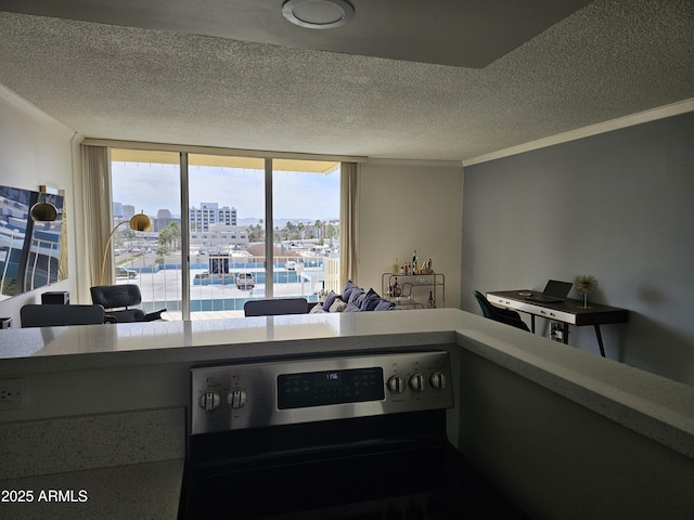 kitchen featuring crown molding, stainless steel electric range, and a textured ceiling