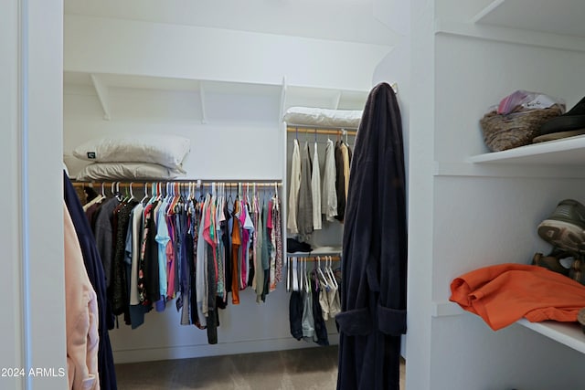 walk in closet featuring carpet flooring