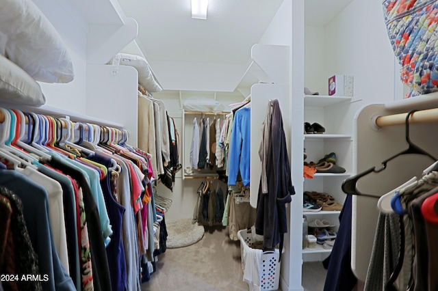 spacious closet featuring carpet floors