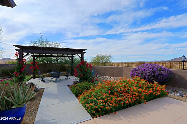 view of patio / terrace with a pergola