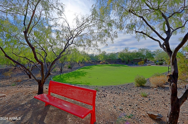 view of property's community with a lawn