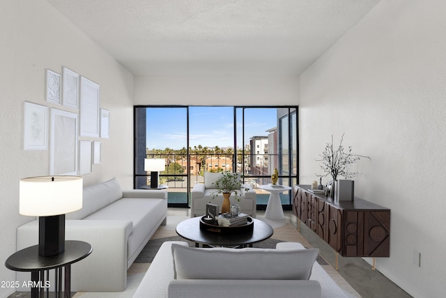 living room with a textured ceiling