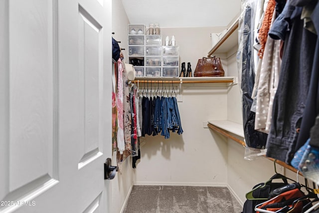 4131 E Cascalote Dr, Cave Creek, AZ 85331 - walk in closet featuring carpet flooring