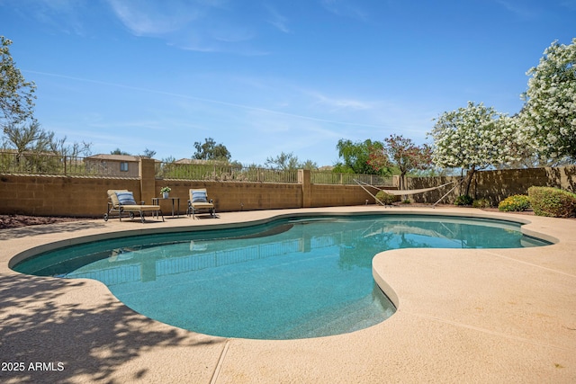 4131 E Cascalote Dr, Cave Creek, AZ 85331 - view of swimming pool with a fenced backyard and a patio