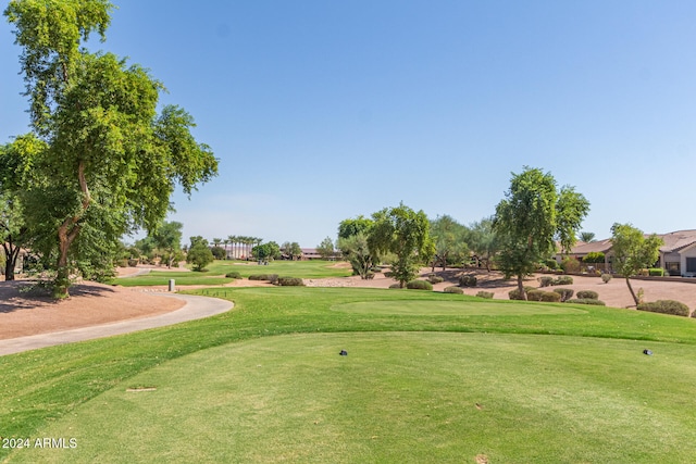 view of home's community featuring a yard