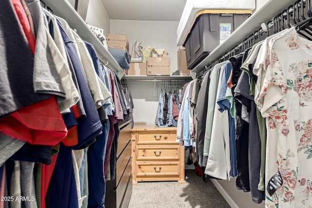 37008 N Hinterwald Way, San Tan Valley, AZ 85143 - walk in closet with light colored carpet