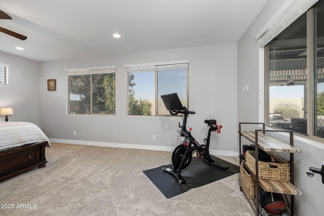 exercise area with ceiling fan and carpet floors