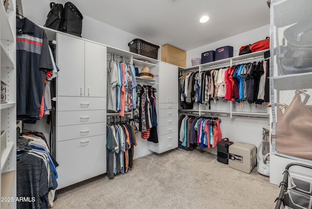 walk in closet with light carpet