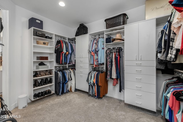 walk in closet with light carpet